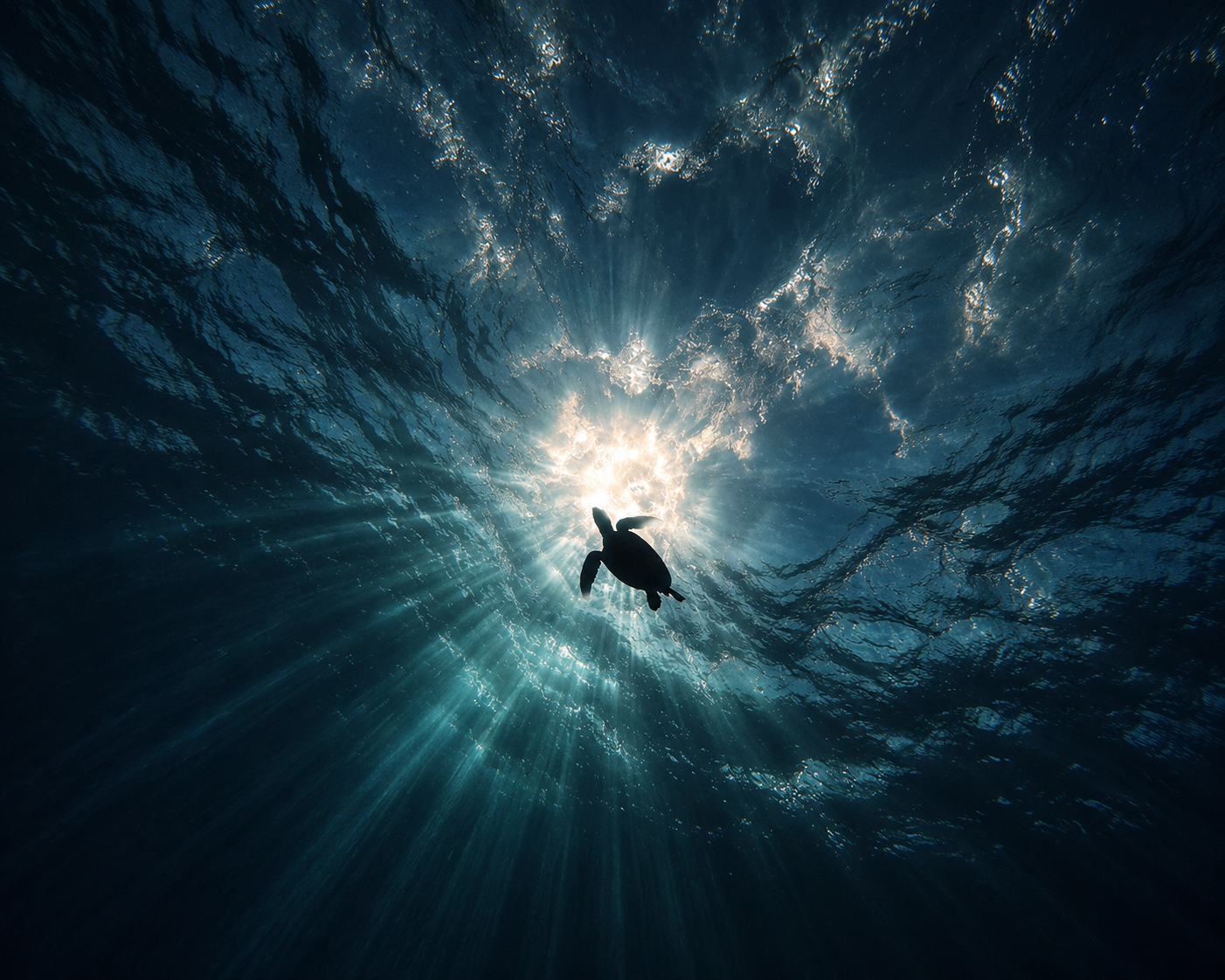 A sea turtle silhouetted beneath sunlit ocean water